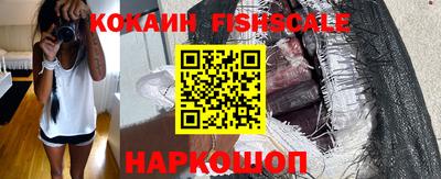 твердый Сланцы