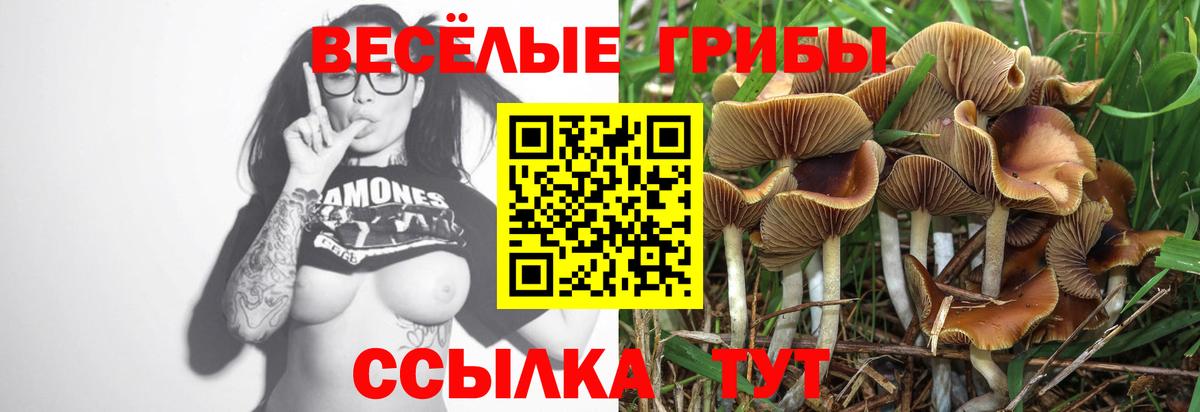 Псилоцибиновые грибы Magic Shrooms  Вход с VPN  Приморско-Ахтарск 